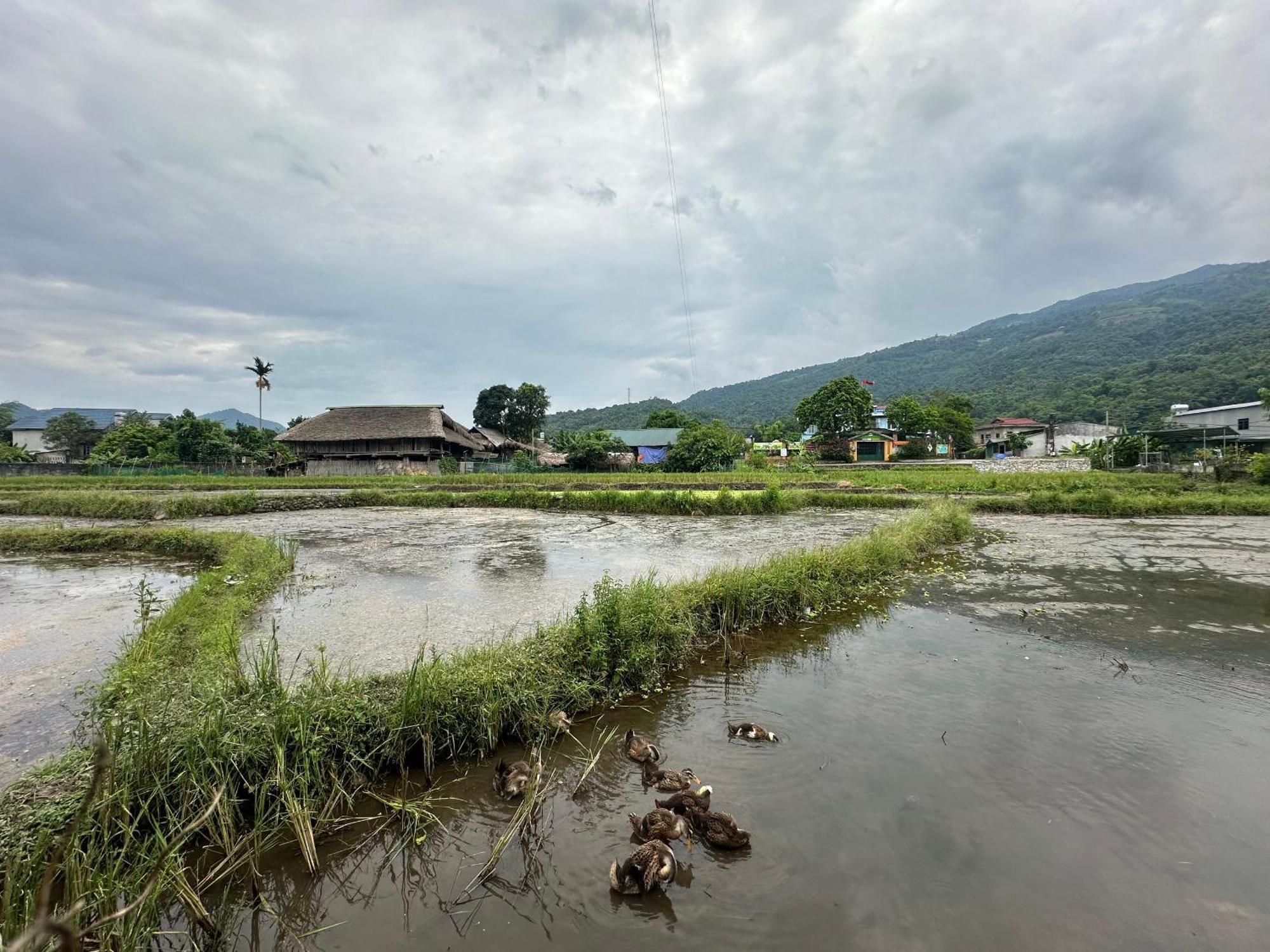 Ha Giang Eco Bungalow Ngoại thất bức ảnh